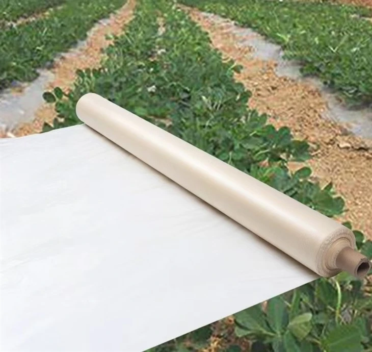 Nutrient-based Degradable Mulch Paper For Vegetable suppliers